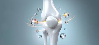 Freeze Dried Allograft Chips: A Reliable Solution for Bone Defect Management